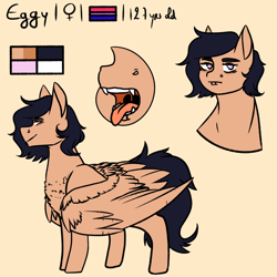 Size: 1024x1024 | Tagged: safe, artist:eggymy, derpibooru import, oc, oc only, oc:eggy, pegasus, pony, fangs, female, mare, reference sheet, solo, tongue out