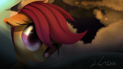 Size: 1920x1080 | Tagged: safe, artist:dranoellexa, derpibooru import, scootaloo, pony, head