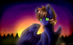 Size: 4300x2700 | Tagged: safe, artist:jazzerix, oc, oc only, pegasus, pony, absurd resolution, high res, male, solo, stallion, sunset