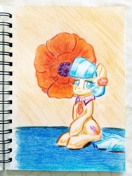 Size: 2214x2952 | Tagged: safe, artist:shoeunit, derpibooru import, coco pommel, earth pony, pony, colored pencil drawing, female, flower, mare, solo, traditional art