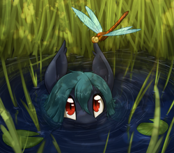 Size: 1679x1480 | Tagged: safe, artist:otakuap, derpibooru import, oc, oc only, bat pony, dragonfly, bat pony oc, cute, eyes on the prize, reeds, slit eyes, solo, water