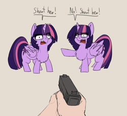 Size: 2480x2275 | Tagged: safe, artist:duop-qoub, derpibooru import, twilight sparkle, twilight sparkle (alicorn), alicorn, human, pony, chest fluff, descended twilight, duo, female, gun, handgun, looking at you, mare, offscreen character, open mouth, pistol, pointing, raised hoof, self ponidox, simple background, text, transparent background