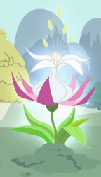 Size: 206x358 | Tagged: safe, derpibooru import, screencap, the cutie pox, cropped, flower, no pony, plant, seeds of truth