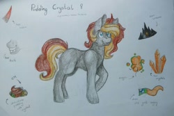 Size: 1370x913 | Tagged: safe, artist:missvivimorte, oc, oc only, oc:pudding crystal, pony, unicorn, crown, crystal, jewelry, magical lesbian spawn, offspring, parent:cheese sandwich, parent:king sombra, reference sheet, regalia, solo, traditional art