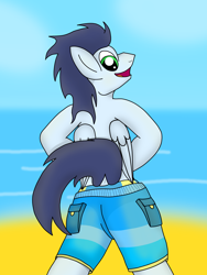Size: 3024x4032 | Tagged: safe, artist:tacomytaco, derpibooru import, soarin', pegasus, pony, beach, bipedal, clothes, male, partial nudity, plot, shorts, solo, speedo, swimsuit, topless