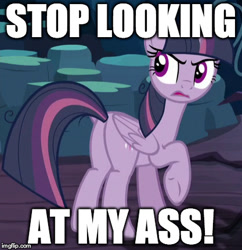 Size: 417x431 | Tagged: safe, derpibooru import, screencap, mean twilight sparkle, alicorn, the mean 6, annoyed, clone, image macro, meme, plot, vulgar