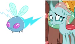 Size: 1290x758 | Tagged: safe, derpibooru import, ocellus, smolder, yona, pony, bloom and gloom, school daze, comparison, cute, diaocelles, puppy dog eyes, scrunchy face, twittermite