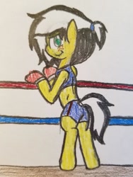 Size: 600x800 | Tagged: safe, artist:binary6, derpibooru import, oc, oc only, oc:uppercute, earth pony, pony, bipedal, boxing gloves, boxing ring, freckles, solo, traditional art