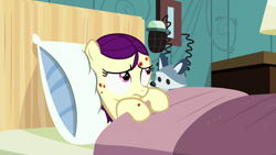 Size: 1920x1080 | Tagged: safe, screencap, boysenberry, pony, raccoon, a flurry of emotions, horsey hives, plushie, solo