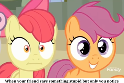 Size: 1024x688 | Tagged: safe, derpibooru import, edit, edited screencap, screencap, apple bloom, scootaloo, sweetie belle, surf and/or turf, :i, cutie mark crusaders, image macro, meme, text, when x and y