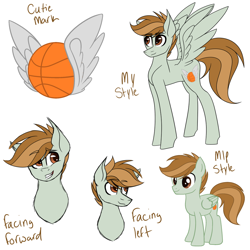 Size: 1024x1024 | Tagged: safe, artist:misskitkat2002, derpibooru import, oc, oc:free fall, pegasus, pony, male, reference sheet, show accurate, solo, stallion