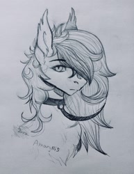 Size: 2445x3163 | Tagged: safe, artist:yura, derpibooru import, oc, oc only, oc:amaryllis, bat pony, pony, bat pony oc, collar, female, leash, mare, simple background, sketch, solo, traditional art