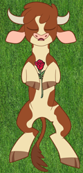 Size: 1914x4000 | Tagged: safe, artist:foolishvulture, derpibooru import, edit, arizona cow, cow, them's fightin' herds, cloven hooves, community related, corpse, dead, eyes closed, female, flower, lying, lying in grass, missing accessory, on back, open mouth, simple background, solo, transparent background