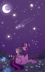 Size: 2466x3905 | Tagged: safe, artist:chepelitaxd, derpibooru import, spike, twilight sparkle, twilight sparkle (alicorn), alicorn, dragon, cute, duo, flower, moon, mushroom, night, shooting star, stargazing, stars