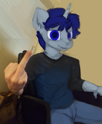 Size: 1225x1489 | Tagged: safe, artist:marsminer, derpibooru import, oc, oc only, oc:sleepy head, anthro, unicorn, irl, male, middle finger, photo, solo, vulgar