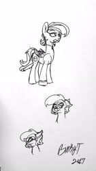 Size: 1836x3264 | Tagged: safe, artist:binkyt11, derpibooru exclusive, oc, oc only, pegasus, pony, female, mare, monochrome, parent:daring do, signature, traditional art