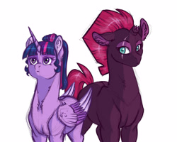 Size: 2500x2000 | Tagged: safe, artist:gigason, derpibooru import, tempest shadow, twilight sparkle, twilight sparkle (alicorn), alicorn, pony, unicorn, broken horn, eye scar, female, mare, scar, simple background