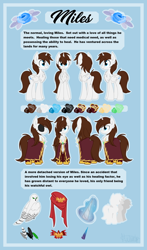 Size: 3356x5707 | Tagged: safe, artist:kellythedrawinguni, oc, oc only, oc:miles, alicorn, owl, pony, absurd resolution, alicorn oc, blanket, blue eyes, broach, cape, chest fluff, clothes, crest, easter egg, eyepatch, green eyes, height difference, impossibly large chest fluff, magic, magic aura, male, multiple variants, pet, reference sheet, size chart, size comparison, solo