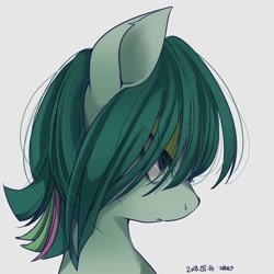 Size: 2000x2000 | Tagged: safe, artist:zakro, derpibooru import, oc, oc only, earth pony, pony, bust, female, lidded eyes, mare, portrait, simple background, solo