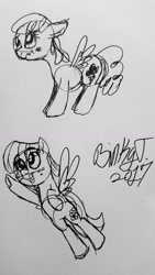 Size: 1836x3264 | Tagged: safe, artist:binkyt11, derpibooru exclusive, blossomforth, lightning bolt, white lightning, pegasus, pony, female, mare, monochrome, scrunchy face, signature, simple background, traditional art, white background