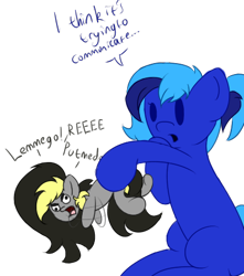 Size: 399x451 | Tagged: safe, artist:hazelcapulus, oc, oc only, oc:mitternacht von kloudette, oc:sky blue, pony