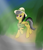 Size: 1742x2038 | Tagged: safe, artist:cluvry, derpibooru import, daring do, pegasus, pony, abstract background, clothes, female, hat, solo