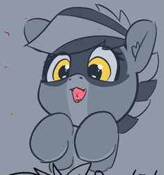 Size: 727x773 | Tagged: safe, artist:pabbley, derpibooru import, oc, oc only, oc:bandy cyoot, original species, raccoon pony, female, gray background, open mouth, simple background, solo