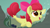 Size: 1280x720 | Tagged: safe, artist:foal, derpibooru import, apple bloom, seapony (g4), surf and/or turf, adorabloom, bubble, cute, female, filly, happy, seapony apple bloom, solo