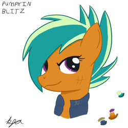 Size: 2048x2048 | Tagged: safe, artist:kyleradams, derpibooru import, oc, oc only, oc:pumpkin blitz, fallout equestria, fallout equestria: stable scout, bust, reference sheet, simple background, solo, transparent background