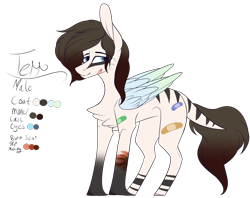 Size: 3596x2842 | Tagged: safe, artist:sweetmelon556, derpibooru import, oc, oc:terrance, pegasus, pony, bandaid, colored wings, high res, male, reference sheet, scar, simple background, solo, stallion, transparent background