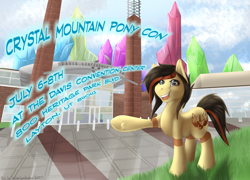 Size: 2500x1800 | Tagged: safe, artist:shilohsmilodon, oc, oc only, pony, banner, convention, crystal mountain pony con, poster, salt flats, solo