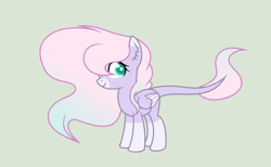 Size: 1880x1160 | Tagged: safe, artist:roseloverofpastels, derpibooru import, oc, oc only, pegasus, pony, augmented tail, base used, female, mare, simple background, solo, two toned mane