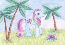 Size: 1024x722 | Tagged: safe, artist:normaleeinsane, derpibooru import, g3, flower, grass, solo, star flower (g3), traditional art, tree