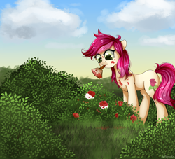 Size: 1600x1450 | Tagged: safe, artist:mitralexa, roseluck, earth pony, pony, flower, paint, paint on fur, paintbrush, painting, rose, solo