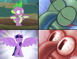 Size: 680x517 | Tagged: safe, derpibooru import, edit, spike, twilight sparkle, twilight sparkle (alicorn), alicorn, dragon, pony, magical mystery cure, molt down, angry, female, home sweet pineapple, i sleep, male, mare, meme, spongebob squarepants, spread wings, squidward closed eyes & open eyes, squidward tentacles, winged spike, wings