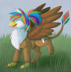 Size: 2596x2663 | Tagged: safe, artist:lady-darkstreak, oc, oc only, oc:rainbow feather, griffon, eyes closed, interspecies offspring, magical lesbian spawn, offspring, parent:gilda, parent:rainbow dash, parents:gildash, quadrupedal, solo