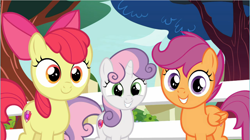 Size: 1284x721 | Tagged: safe, derpibooru import, screencap, apple bloom, scootaloo, sweetie belle, earth pony, pegasus, pony, unicorn, marks for effort, adorabloom, cute, cutealoo, cutie mark crusaders, diasweetes, female, filly, looking at you, smiling, trio