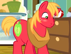 Size: 1016x773 | Tagged: safe, derpibooru import, screencap, big macintosh, earth pony, pony, the break up breakdown, blushing, cropped, male, solo, stallion