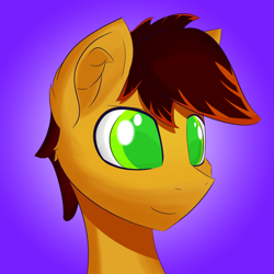 Size: 1660x1661 | Tagged: safe, artist:creepypastapon3, derpibooru import, oc, oc only, oc:twitchyylive, pony, bust, gradient background, smiling, solo