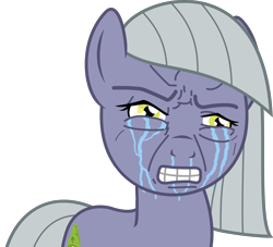 Size: 3666x3328 | Tagged: artist needed, safe, derpibooru exclusive, derpibooru import, limestone pie, pony, crying, faic, gritted teeth, high res, meme, ponified, reaction image, simple background, teeth grinding, transparent background, vector, wojak