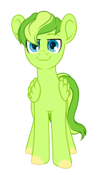 Size: 856x1500 | Tagged: safe, artist:kate littlewing, oc, oc only, oc:lime zest, pegasus, pony, 2017 community collab, derpibooru community collaboration, looking at you, male, simple background, smiling, solo, transparent background