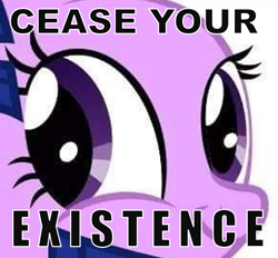 Size: 925x859 | Tagged: safe, derpibooru import, twilight sparkle, cease your existence, image macro, meme, wrong neighborhood, you reposted in the wrong neighborhood