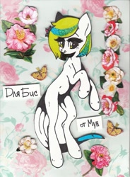 Size: 795x1080 | Tagged: safe, artist:moonhoek, derpibooru import, oc, oc only, oc:shirohana, cute, cyrillic, female, flower, full body, gift art, glitter, long tail, mare, rcf community, russian, short hair, solo, traditional art