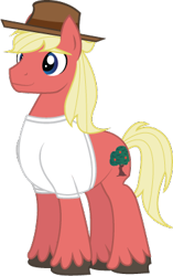 Size: 242x385 | Tagged: safe, artist:casualcolt, oc, oc only, oc:scifresh, earth pony, pony, clothes, hat, shirt, simple background, solo, transparent background
