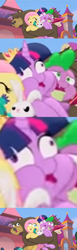 Size: 520x1678 | Tagged: safe, derpibooru import, edit, edited screencap, screencap, angel bunny, fluttershy, harry, spike, twilight sparkle, twilight sparkle (alicorn), alicorn, bear, dragon, pegasus, pony, my little pony: the movie, comic, derp, eyes closed, face swap, facebomb, faic, female, male, mare, meme, screencap comic, tenso