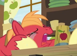 Size: 1001x737 | Tagged: safe, derpibooru import, screencap, big macintosh, spike, dragon, earth pony, pony, the break up breakdown, apple cider, bawling, cropped, crying, cute, drinking, drowning my sorrows, implied alcoholism, male, mug, poor big mac, stallion