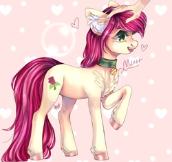 Size: 974x920 | Tagged: artist needed, safe, derpibooru import, roseluck, earth pony, human, pony, behaving like a cat, chest fluff, collar, cute, digital art, ear fluff, female, fluffy, hand, heart, hoof fluff, mare, pet collar, pet tag, petting, pony pet, purring, raised hoof, rosepet