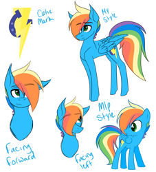 Size: 3000x3300 | Tagged: safe, artist:misskitkat2002, derpibooru import, oc, oc:spectrum, pegasus, pony, male, offspring, parent:rainbow dash, parent:soarin', parents:soarindash, reference sheet, solo, stallion