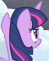 Size: 802x1002 | Tagged: safe, derpibooru import, screencap, twilight sparkle, twilight sparkle (alicorn), alicorn, pony, the cutie map, cropped, female, mare, solo