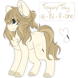 Size: 2048x2048 | Tagged: safe, artist:cinnamontee, oc, oc only, oc:tegan, earth pony, pony, chest fluff, female, high res, mare, reference sheet, solo